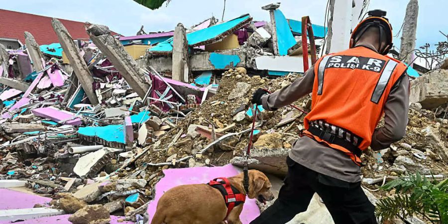 Ein Polizist führt einen Spürhund bei der Suche nach Opfern durch die Trümmer eines eingestürzten Gebäudes in Mamuju. Foto: Hariandi Hafid/ZUMA Wire/dpa