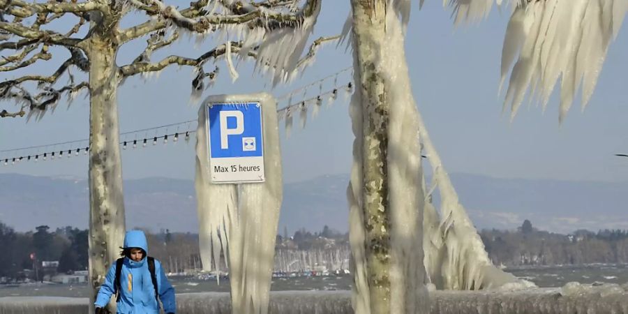 Die Bise sorgt in der Schweiz für bitterkalte Tage. (Archivbild)