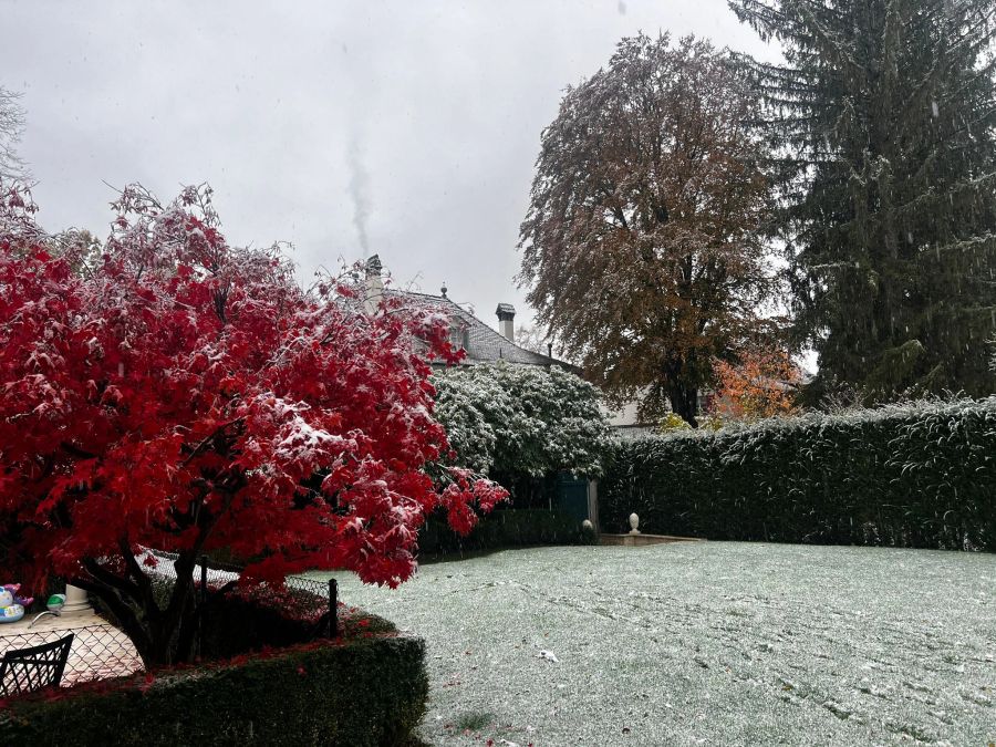 Auch in diesem Berner Garten ist ein wenig Schnee liegen geblieben.