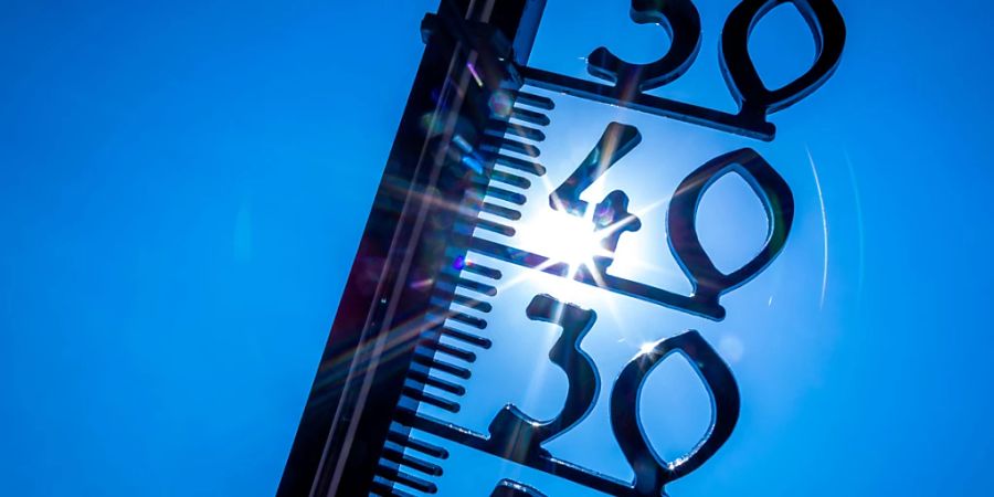 Das aktuelle Jahr wird nach Einschätzung der US-Klimabehörde NOAA mit einer Wahrscheinlichkeit von mehr als 99 Prozent das wärmste seit Beginn der Aufzeichnungen vor 174 Jahren werden. (Symbolbild)
