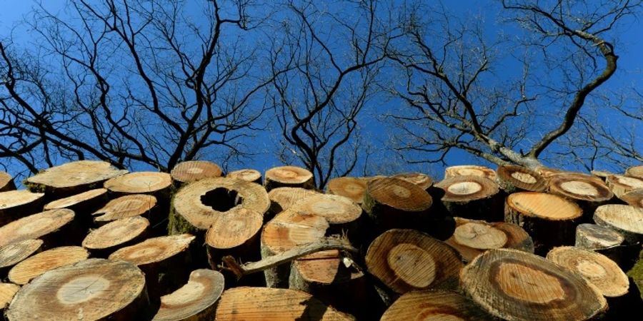 Holzstapel