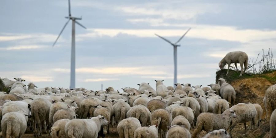 Windräder in NRW