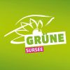 Grüne Sursee