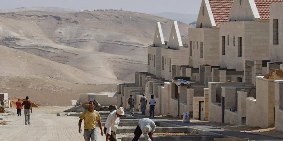 Im Bau befindliche Häuser in der jüdischen Siedlung Maale Adumim im israelisch besetzten Palästinensergebiet wenige Kilometer östlich von Jerusalem. (Archivaufnahme vom Juni 2009 - die Arbeiter sind zumeist Palästinenser)