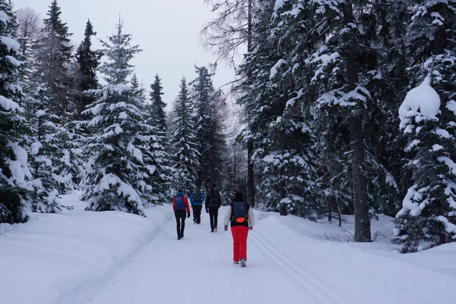 Winterwanderung auf den Dorfberg.