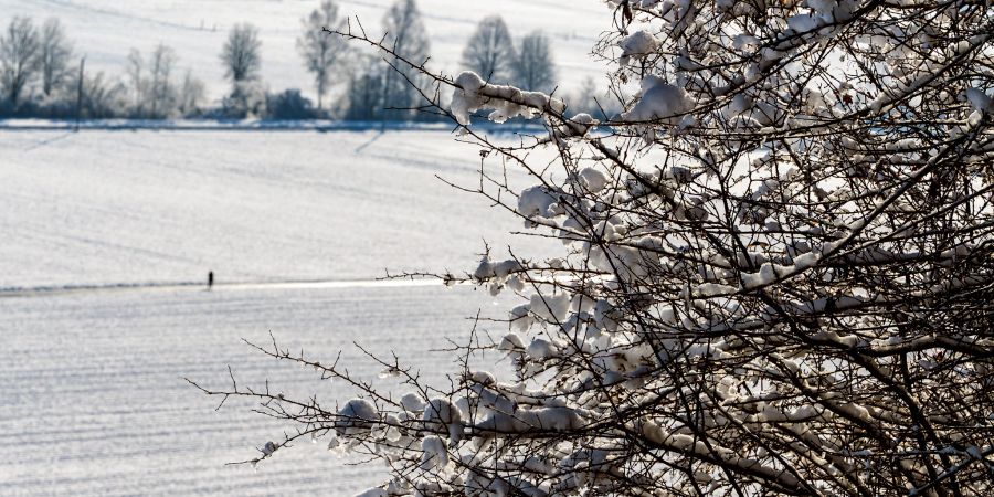 Die Gemeinde Belp im Winter. - Kanton Bern