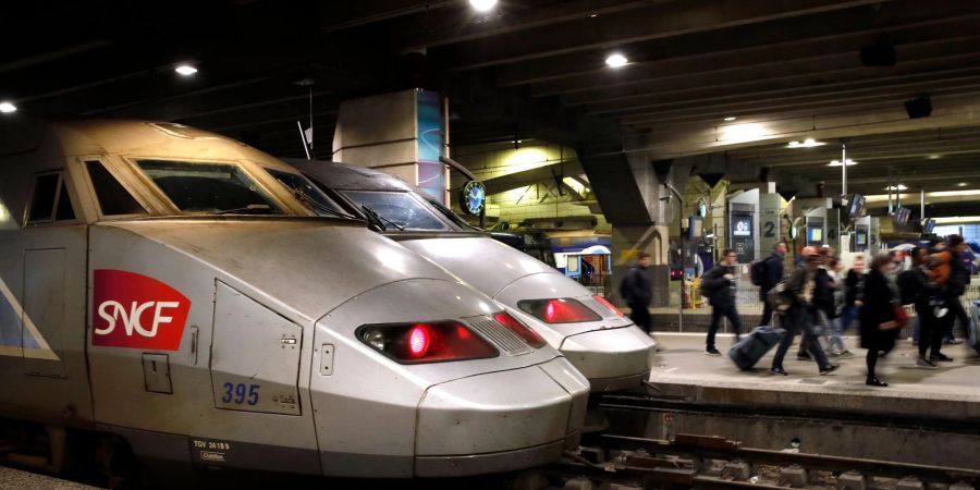 Im Pariser Bahnhof Montparnasse ist eine Katze von einem Zg überfahren worden - Frankreich diskutiert.