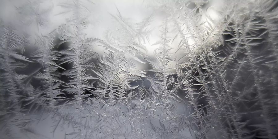 Eisblumen auf einem Fenster: Am Dienstagmorgen war es in Teilen der Schweiz bitterkalt. (Themenbild)