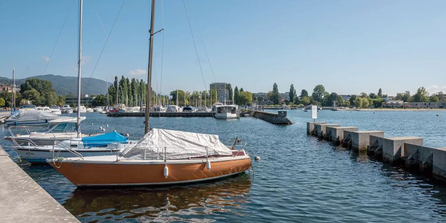 Hafen Biel mit Segelbooten in Richtung Stadt Biel gesehen.