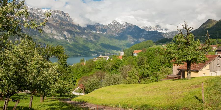 Die Ortsgemeinde Quarten im Kanton St. Gallen mit Blick auf den Walensee.