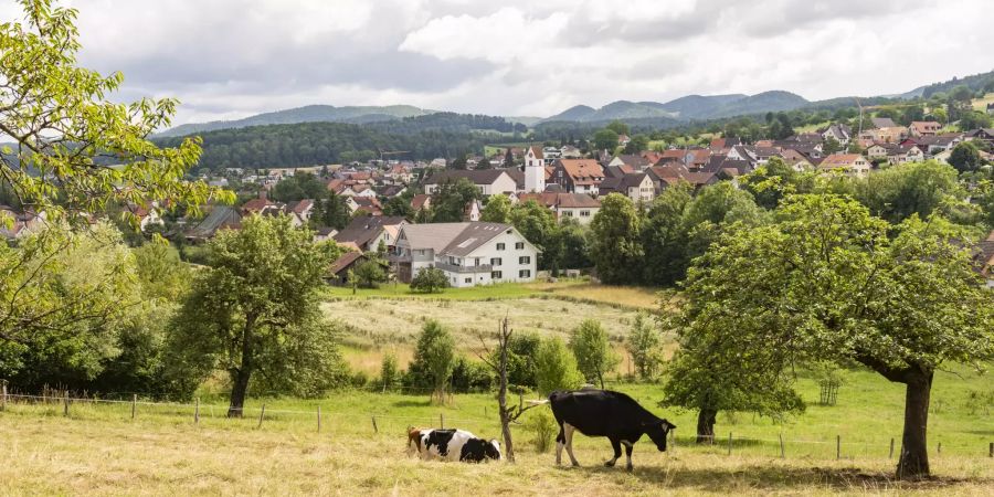 Landwirtschaft spielt heute in Büsserach (SO) eine untergeordnete Rolle.
