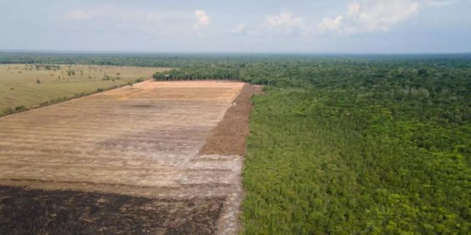 Eine verbrannte und abgeholzte Fläche in einem Amazonas-Gebiet. Foto: Fernando Souza/ZUMA/dpa Eine verbrannte und abgeholzte Fläche in einem Amazonas-Gebiet. Foto: Fernando Souza/ZUMA/dpa