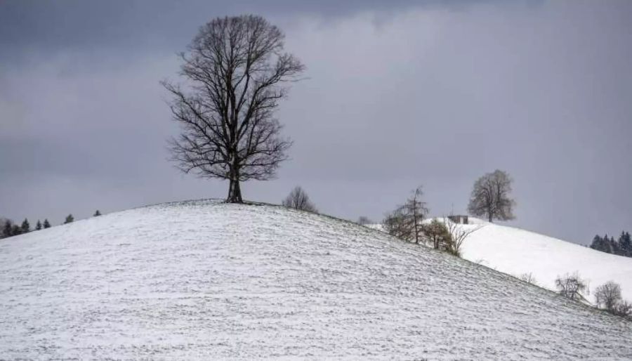 Die Schneefallgrenze liegt zwischen 400 und 700 Metern. (Symbolbild)
