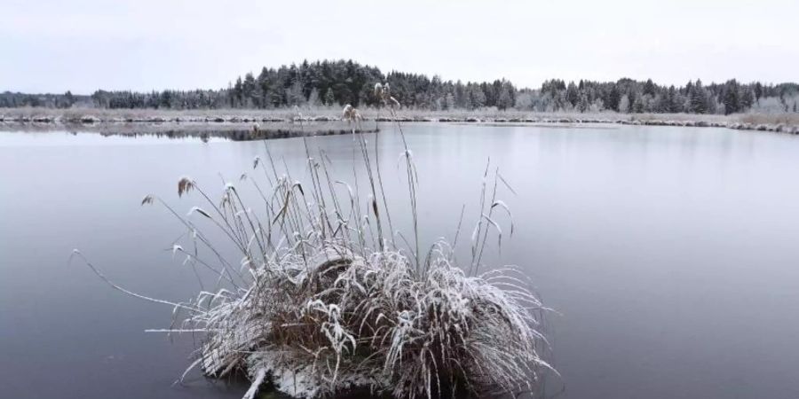 Eisdicke Schnee Meteo