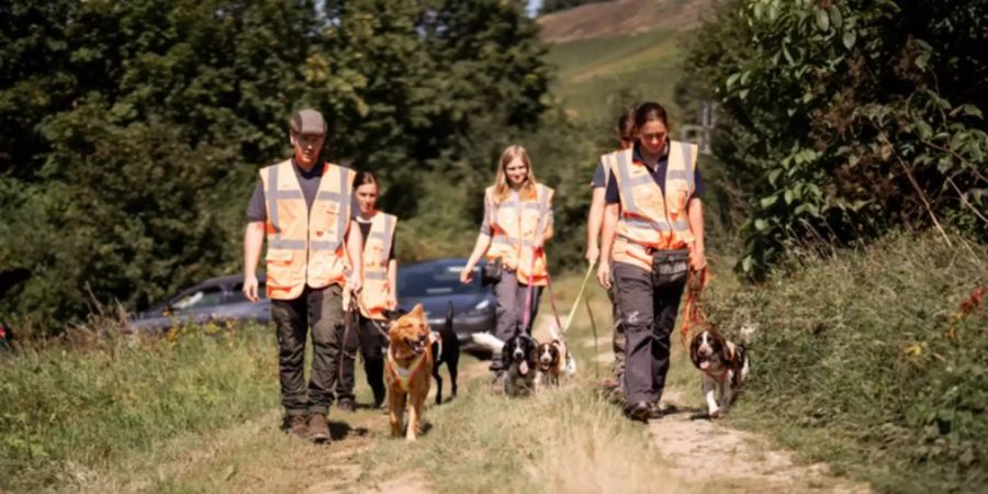 Die Deutsche Bahn setzt künftig auf Artenspürhunde.
