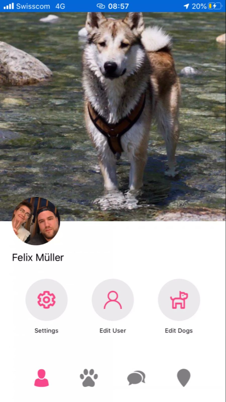 Pawmates erinnert vom Design her stark an Tinder.