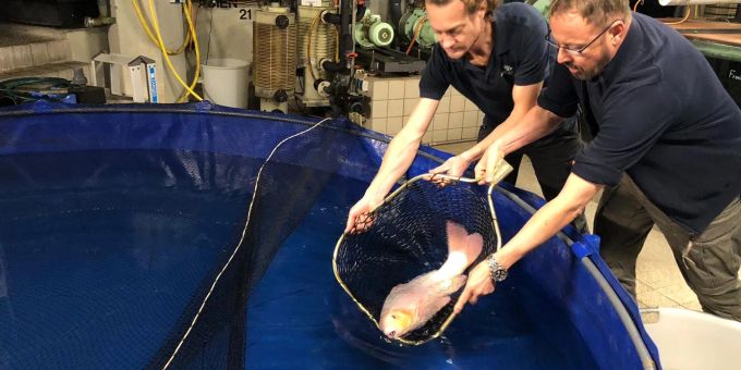Aquarium geplatzt - Aufräumarbeiten bei Berliner Hotel abgeschlossen