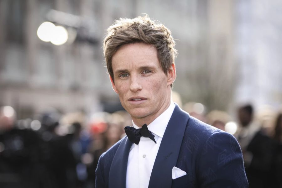 Redmayne Zürich Film Festival