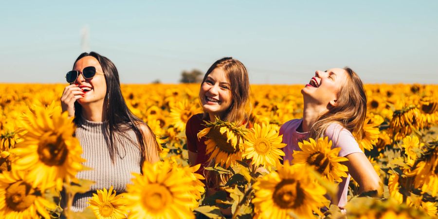 Frauen in Sonnenblumenfeld