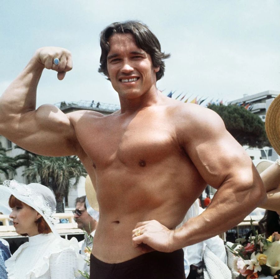 Arnold Schwarzenegger