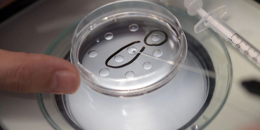 Eine Biologin in einer Kinderwunschpraxis präpariert Eizellen.