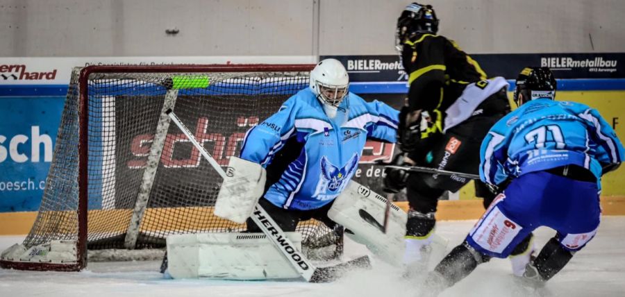 Während einem Match der Huttu Highflyers hat eine Besucherin beobachtet, wie Jugendliche vor der Eishalle Kühe mit Steinen bewarfen. (Archivbild)