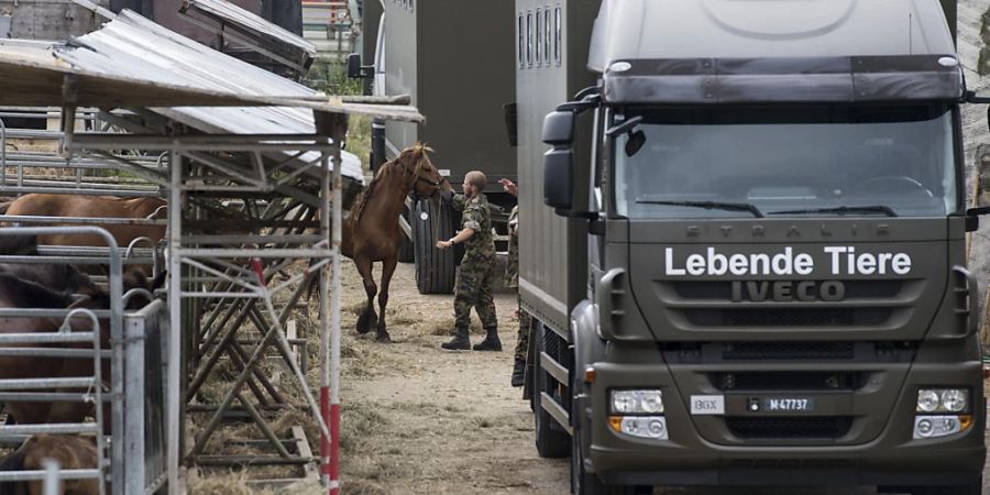 Die Schweizer Armee transportierte am 8. August 2017 die Pferde vom Hof in Hefenhofen ab. (Archivbild)