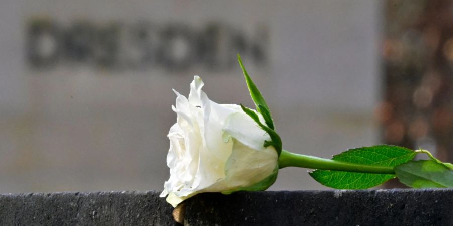 Eine weisse Rose als Symbol der Erinnerung auf dem Heidefriedhof.