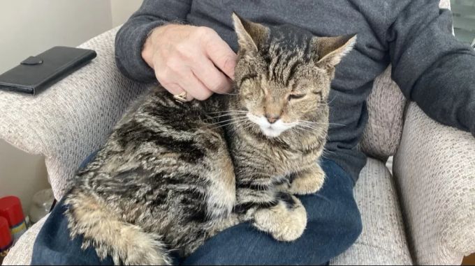 Tigger ist zurück bei Herrchen und Frauchen. Tigger