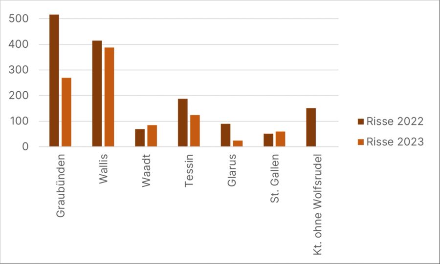 Die Zahl der Wolfsrisse ist im vergangenen Jahr in den meisten Kantonen zurückgegangen. Für Kantone ohne Wolfsrudel liegen für 2023 noch keine definitiven Zahlen vor.