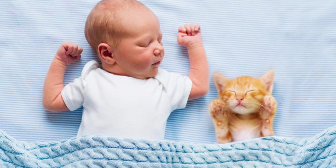 Zusammen in Harmonie - Katze und Baby: Kann das gutgehen?