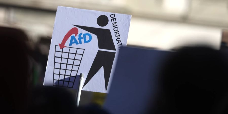 AfD Werteunion Wagenknecht Alternative