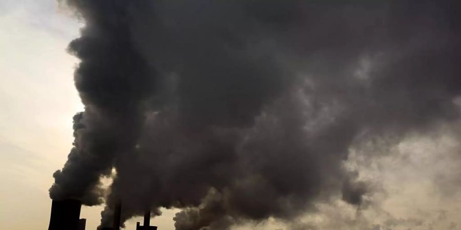 Klimaschutz soll nicht nur moralisch, sondern auch finanziell zur attraktiveren Wahl werden. Foto: Oliver Berg