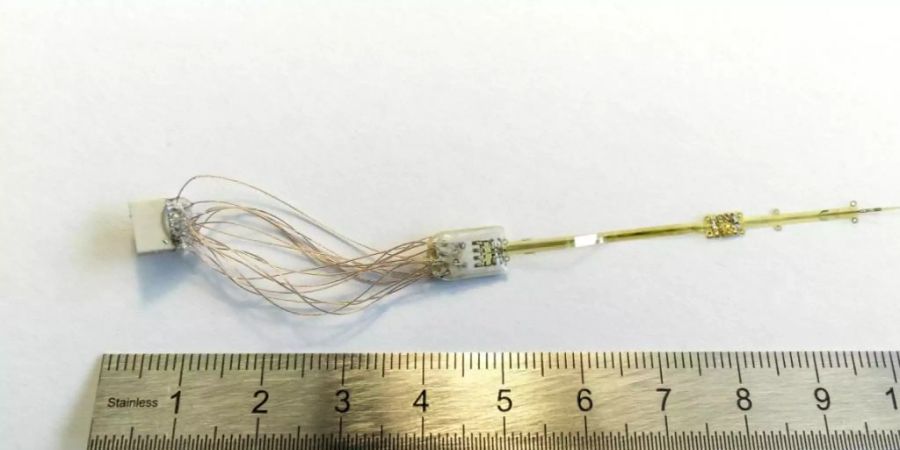 Mithilfe eines neuen Elektrodentyps liesse sich der Sehnerv stimulieren und damit Lichteindrücke erzeugen.