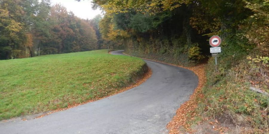 Gyrenstrasse, Eggenwil