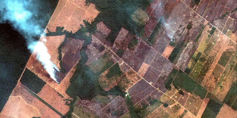 22.08.2019, Brasilien, Rodonia: Auf diesem Satellitenbild, das von Satellite Image Maxar Technologies zur Verfügung gestellt wird, ist ein Brand im Staat Rondonia zu sehen. Foto: Uncredited/Satellite image '2019 Maxar Technologies/dpa +++ dpa-Bildfunk +++