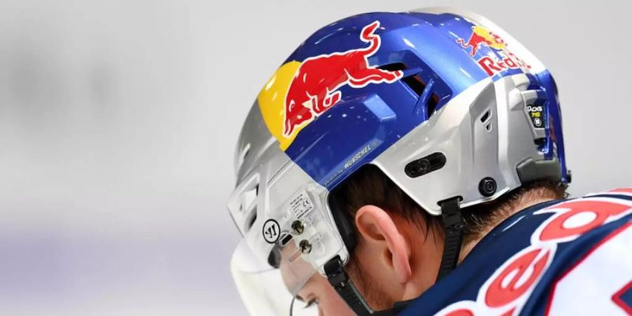 Die DEL startet mit dem Bayern-Derby Augsburger Panther gegen EHC Red Bull München. Foto: Tobias Hase