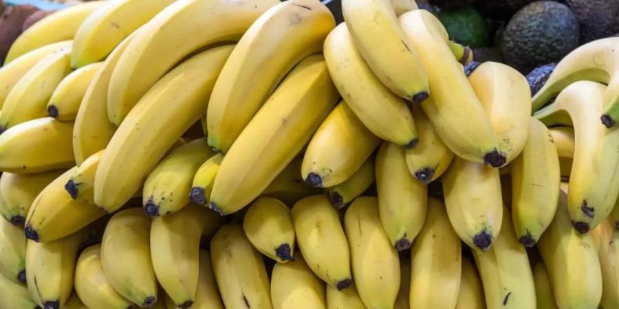 «Cavendish»-Bananen machen einen Anteil von mehr als 90 Prozent auf dem deutschen Markt aus. Symbolbild: Jens Büttner Foto: Jens Büttner