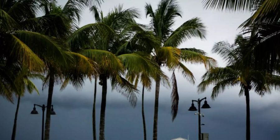 Fort Lauderdale/Florida vor dem Hurrikan «Dorian»