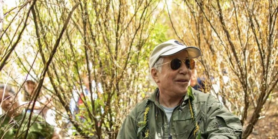 Der Musiker Paul Simon im Wald. Foto: Anna Kim/Honolulu Star-Advertiser/AP