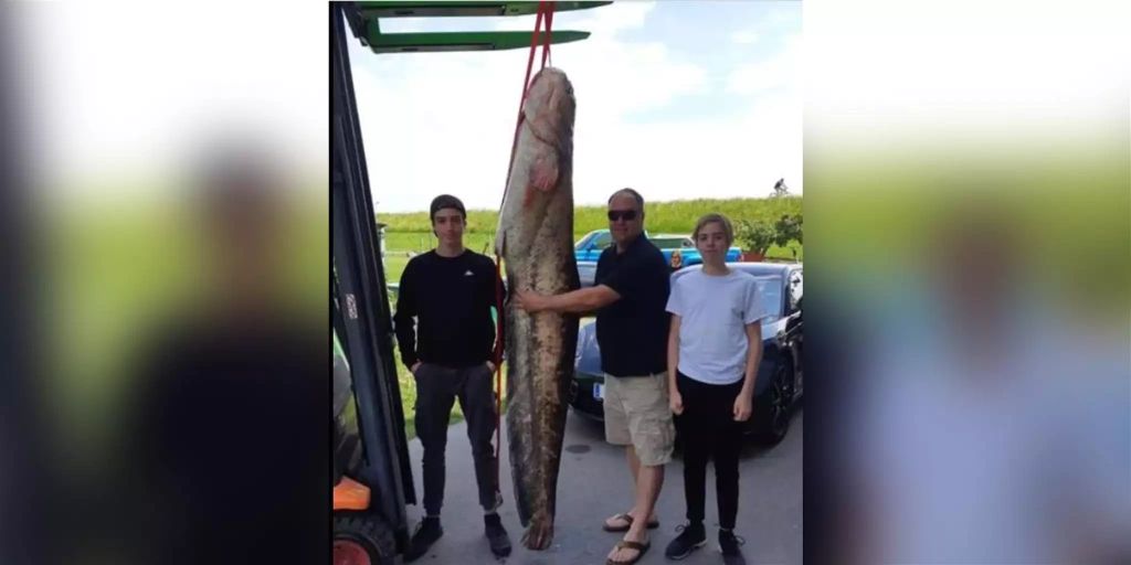 Fischer macht im Bodensee den Fang seines Lebens