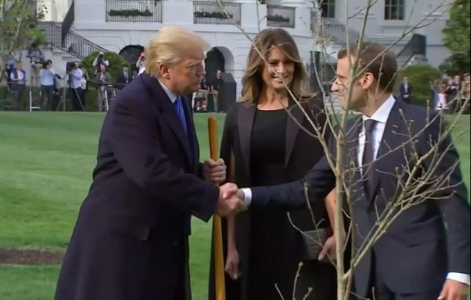 US-Präsident Donald Trump schüttelt Frankreichs Staatschef Emmanuel Macron die Hand. Vorne im Bild ist die neu eingepflanzte Eiche zu sehen. Trump