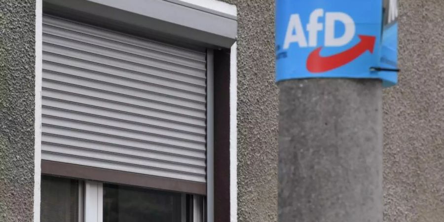 Wahlplakat der AfD im brandenburgischen Hirschfeld. Foto: Patrick Pleul