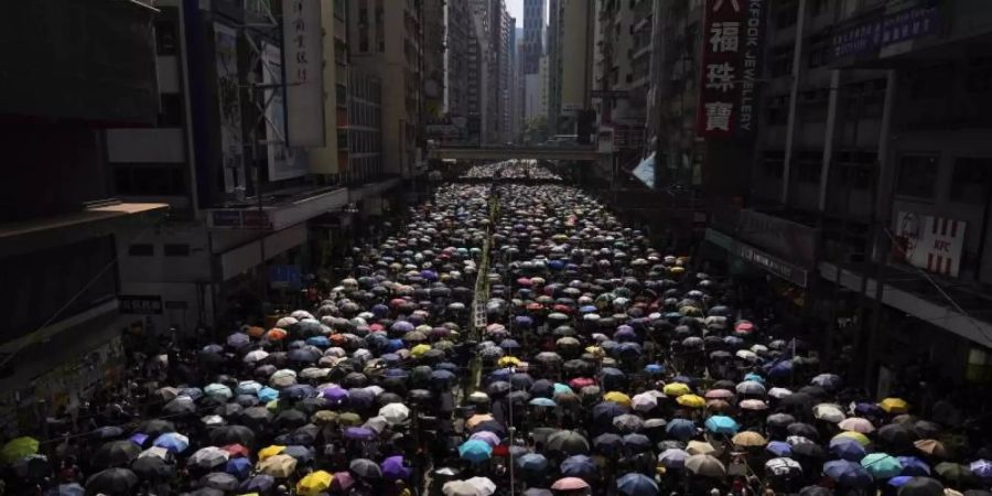 Tausende Hongkonger ziehen mit Regenschirmen über eine Strasse. Foto: Vincent Yu/AP