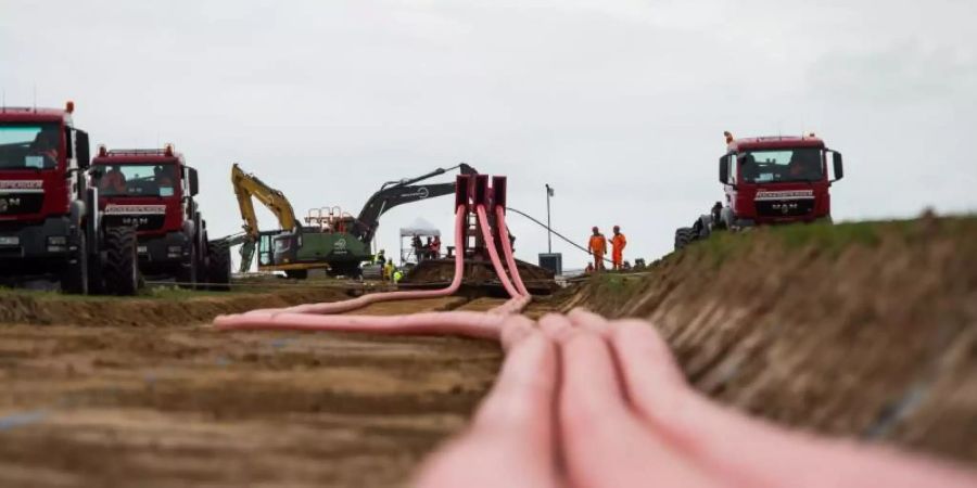 Mit einem Mehrfachpflug zur Verlegung von Drehstromerdkabeln werden im niedersächsischen Burgdorf Leerrohre für die Kabel verlegt. Foto: Christophe Gateau
