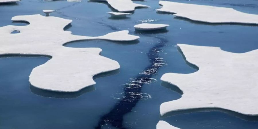 Denn mit dem Klimawandel würden Viren sowieso freigesetzt werden. (Symbolbild)