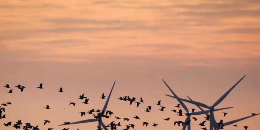 Energiewende: Die EU-Kommission will dafür sorgen, dass Konsumenten und Anleger mehr Geld in nachhaltige Güter und Projekte investieren. Foto: Christian Charisius/dpa