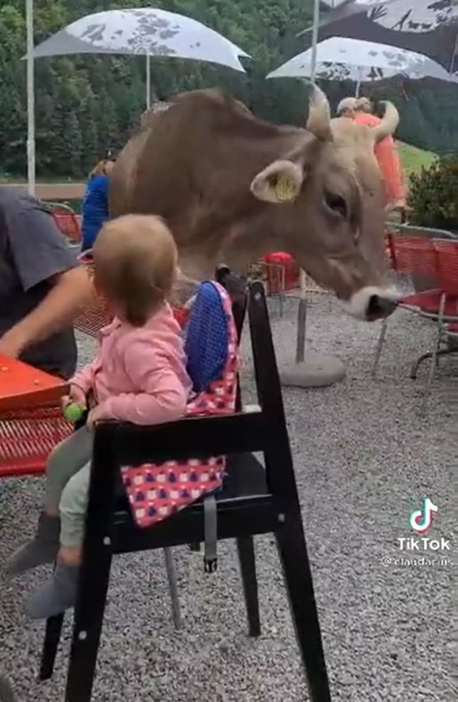 Eine Kuh betritt das Restaurant «Seealpsee» im Kanton Appenzell Innerrhoden.