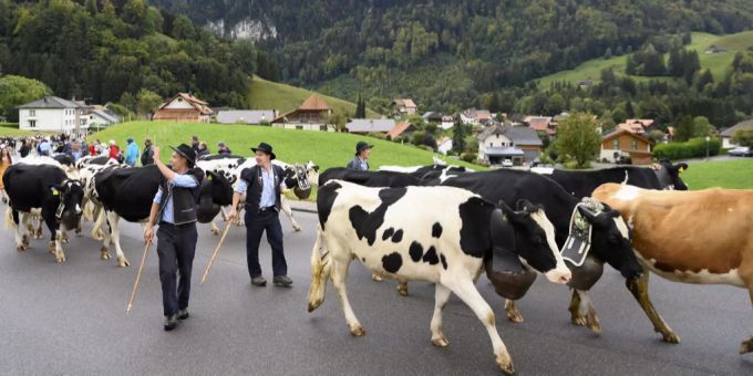 Das ganze Dorf feiert gemeinsam mit vielen Gästen den Almabtrieb. (Symbolbild) Almabtrieb