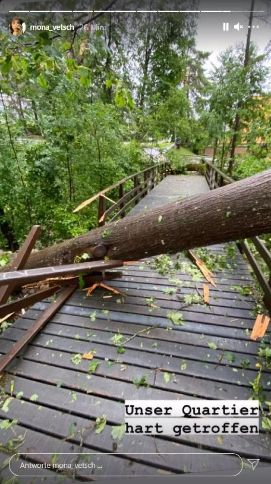 Ein Baum hat die Brücke des Quartiers zerstört.